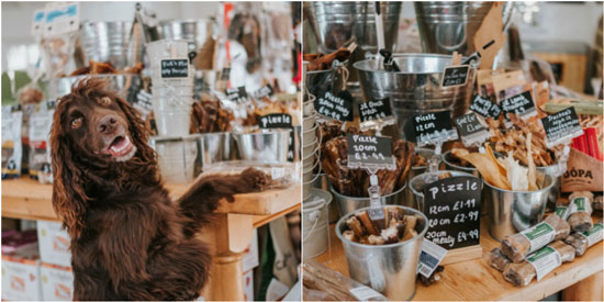Tiendas de perros