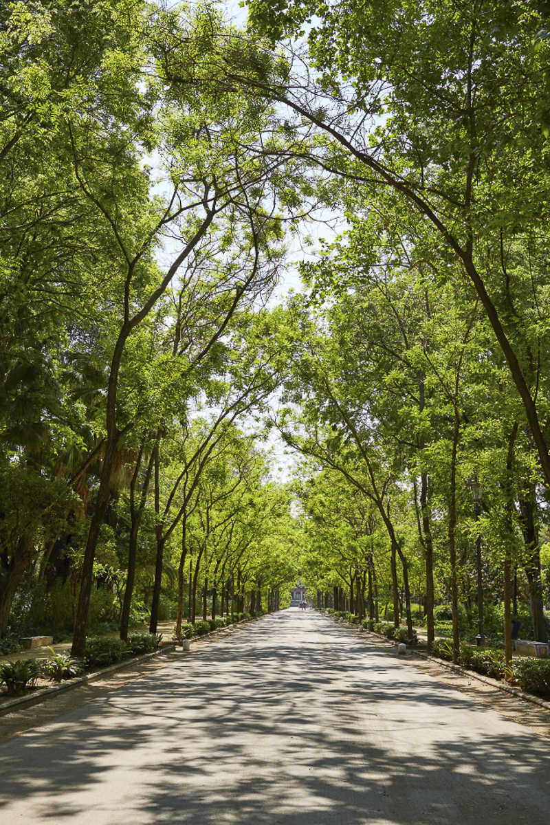 玛丽亚·路易莎公园 塞维利亚 https://seville-city.com/